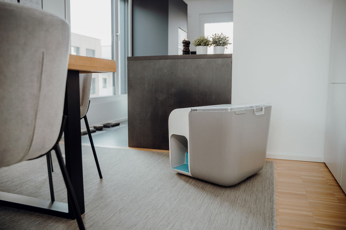 Sauber und ästhetisch: Cloou.