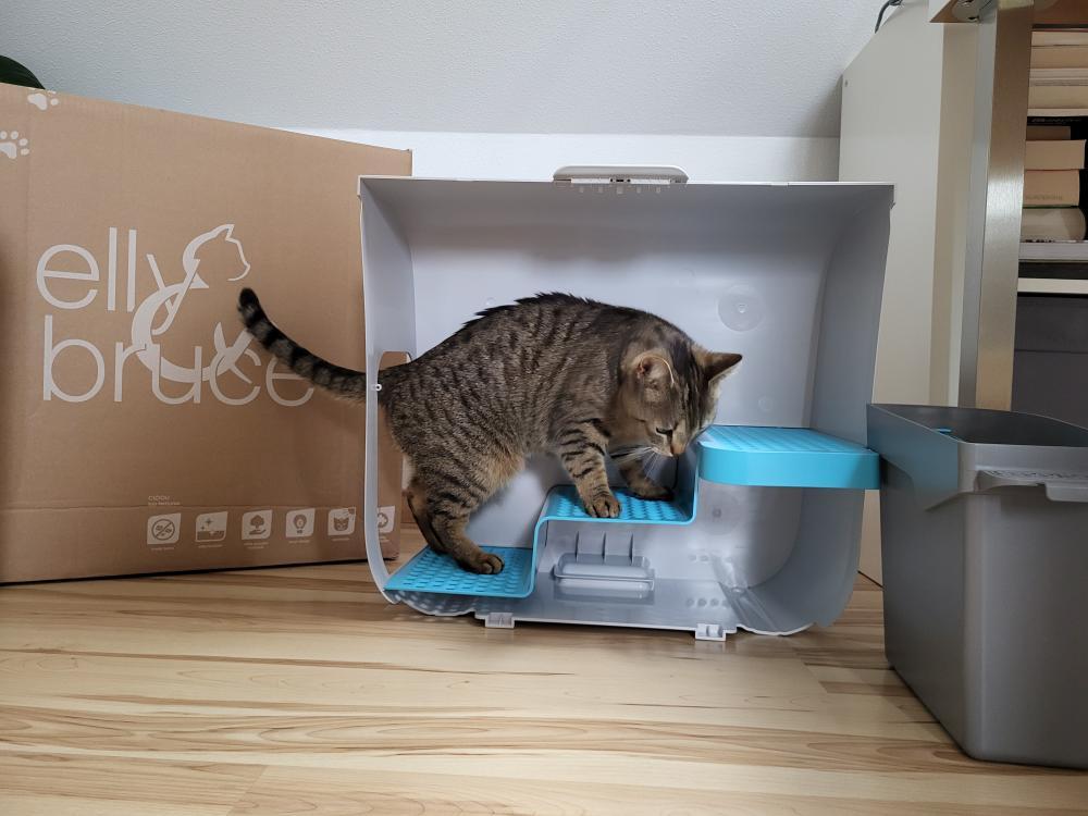 Welches Katzenklo ist wirklich das beste?