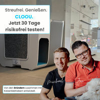 Katzentoilette Cloou