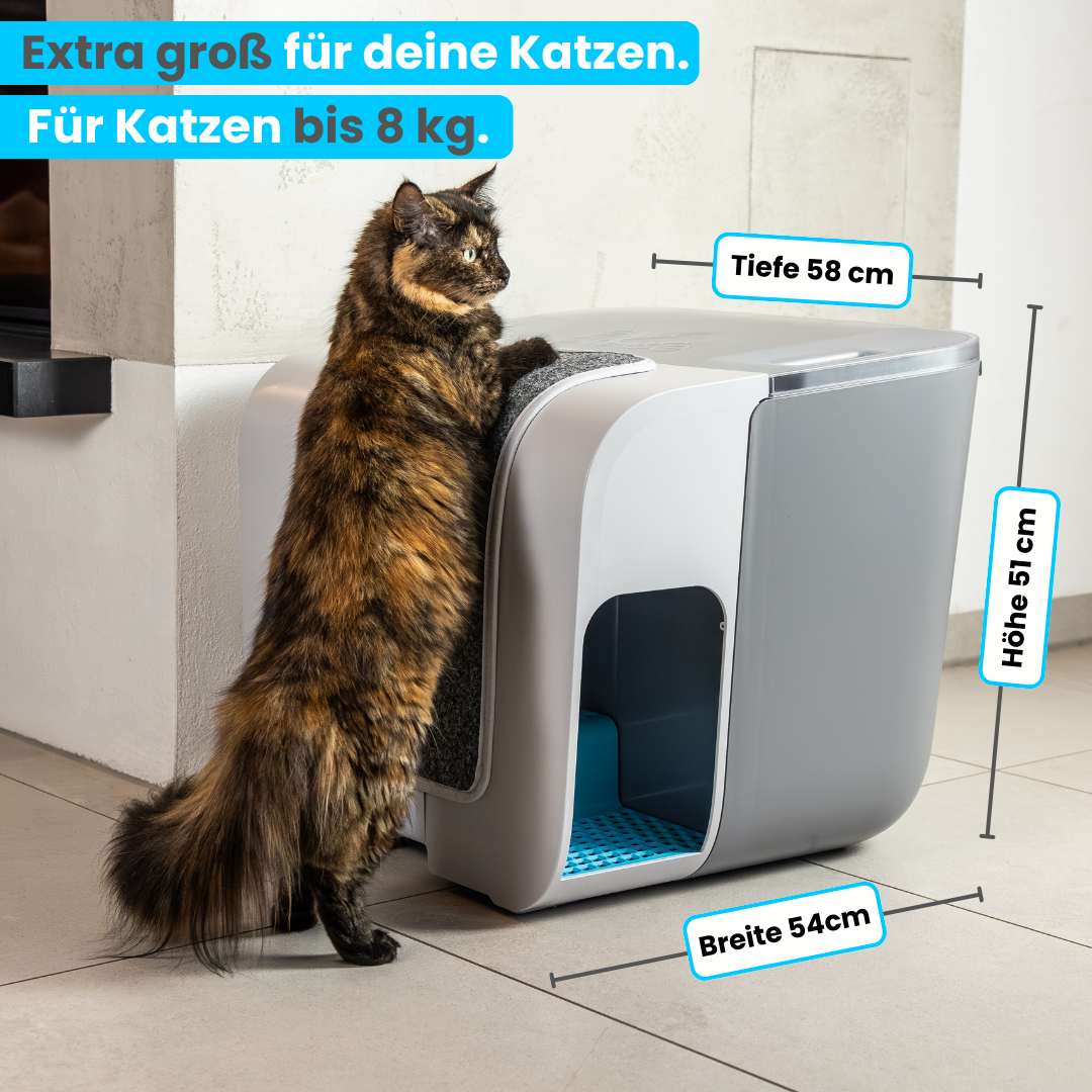 Lukamoo Katzentoilettenmatte Doppellagig – 61x40 Cm, Wasserdicht & Rutschfest, Für Tofu-Streu & Pellets, Nebelgrau