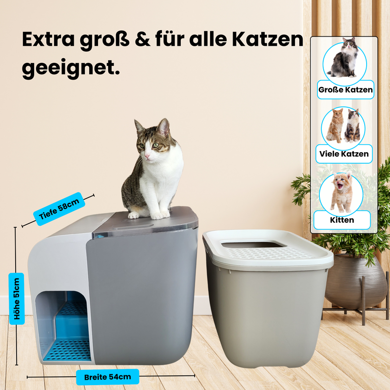 Katzentoilette Cloou