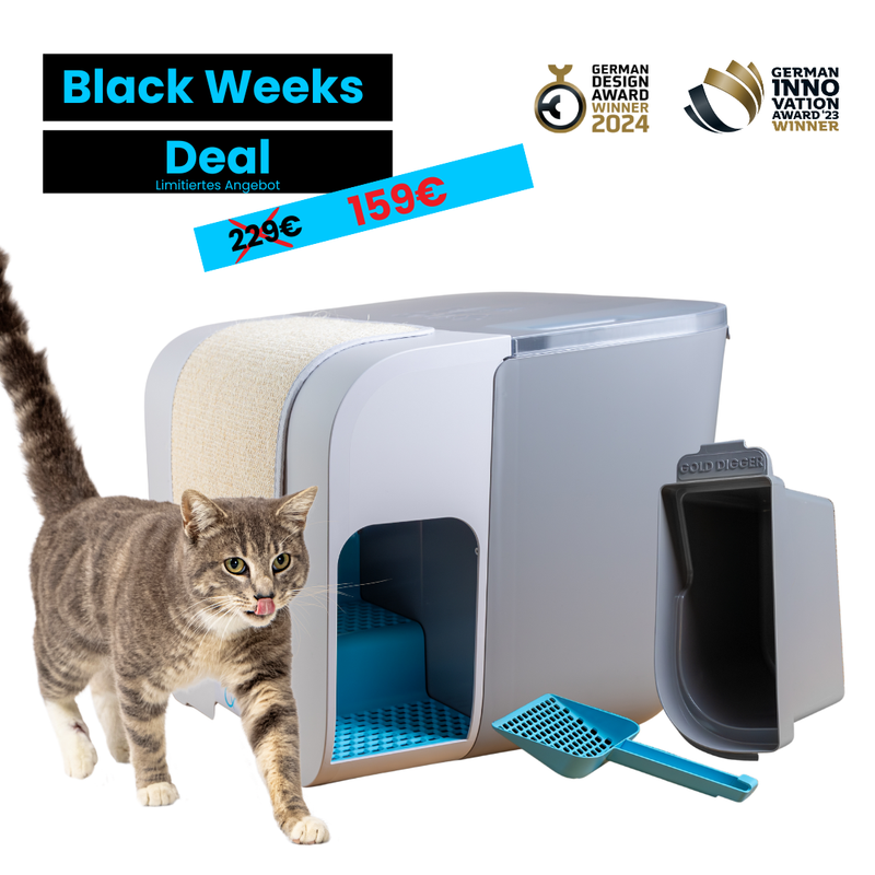 Katzentoilette Cloou