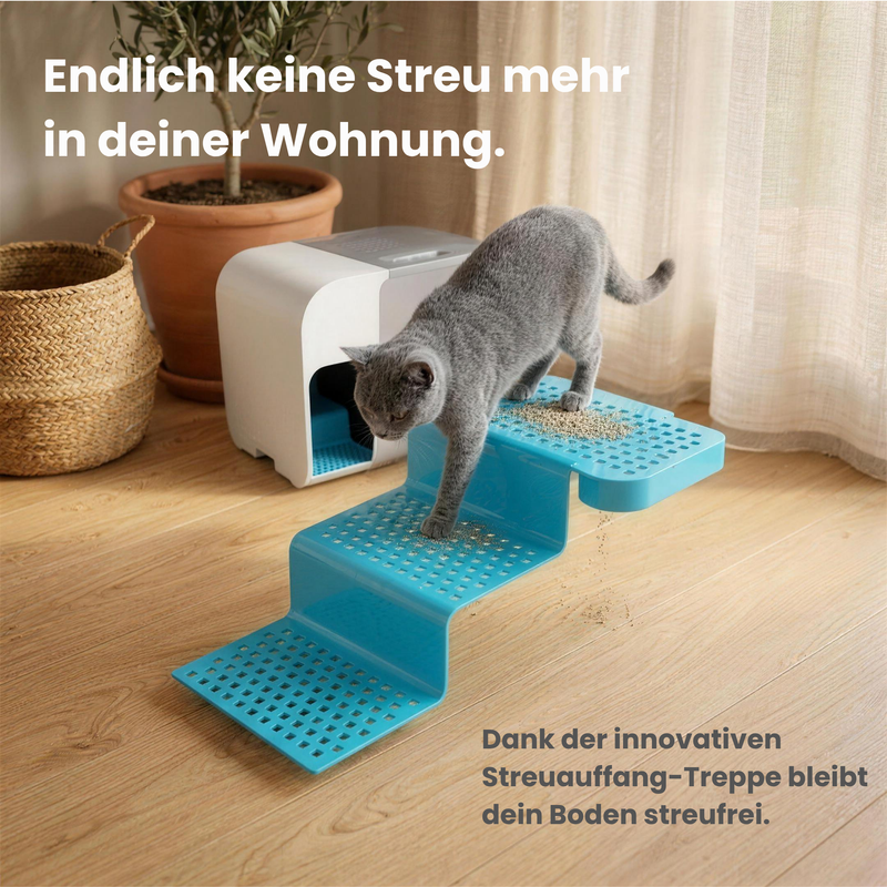 Katzentoilette Cloou®