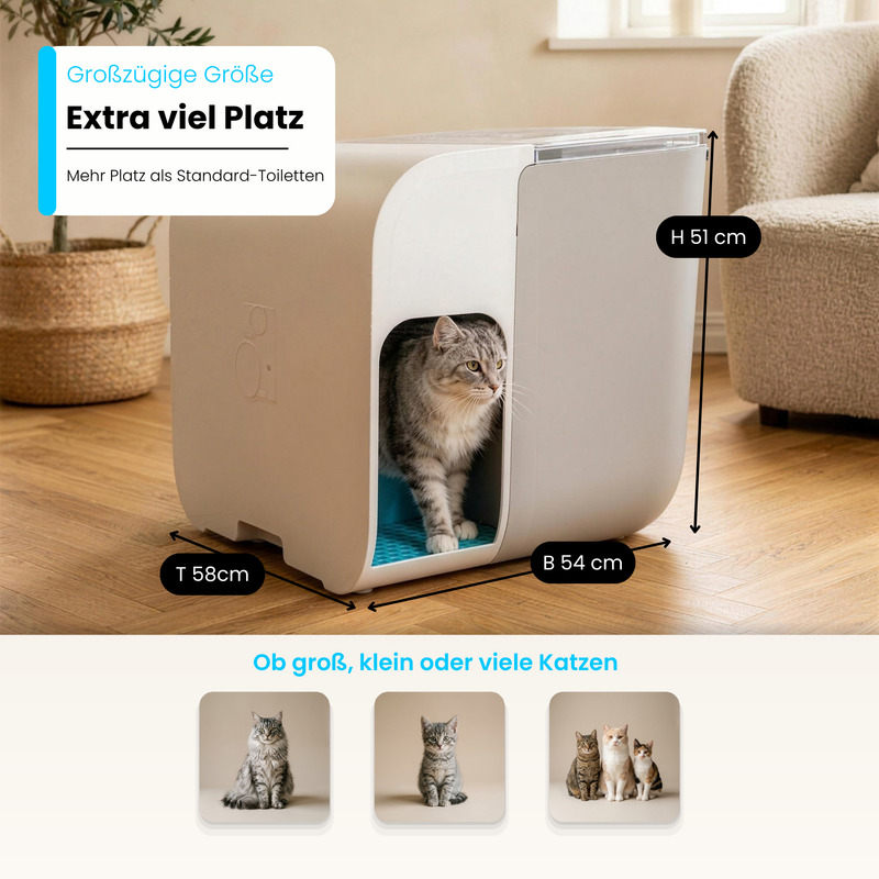 Katzentoilette Cloou®