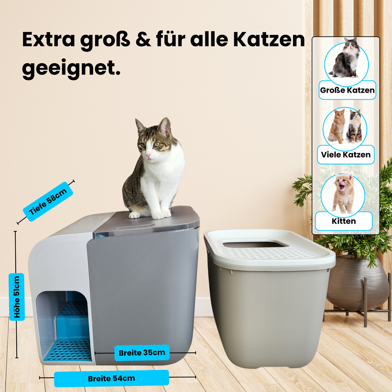Katzentoilette Cloou